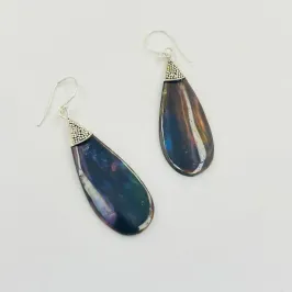 BRINCO ABALONE